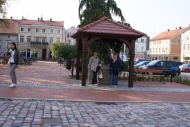 zobacz galerię zdjęć