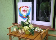 zobacz galerię zdjęć