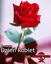 Dzien Kobiet