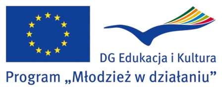 młodzież w działaniu_logo